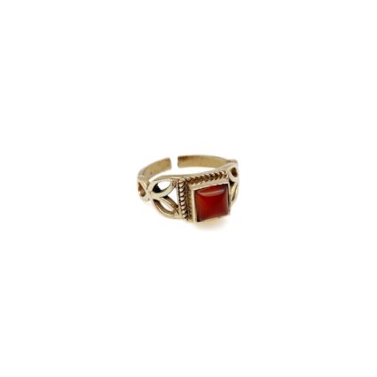 Tanvi Collection Ring - Gold with Red Onyx